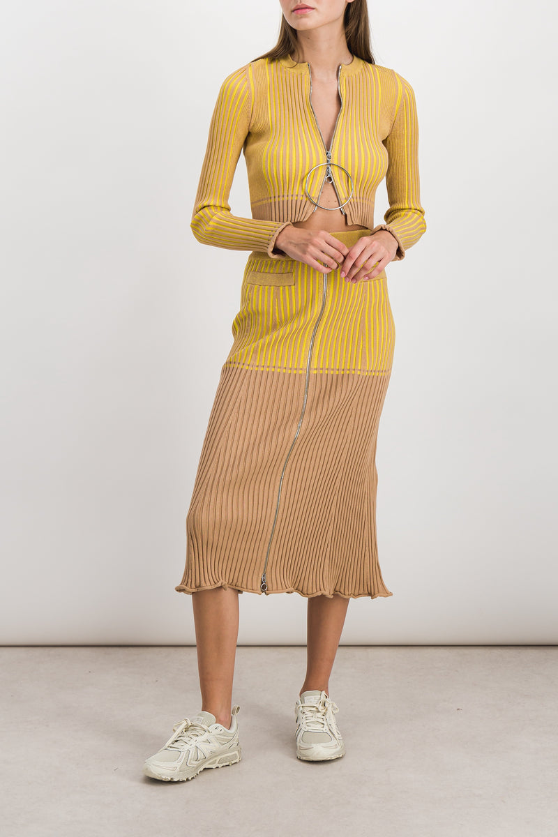 Paco Rabanne - Bicolored ribbed knitted midi skirt